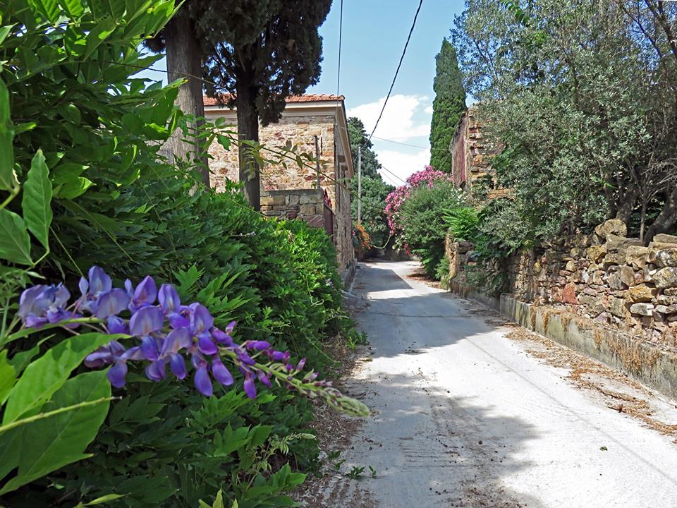 Chios Island Kambos 