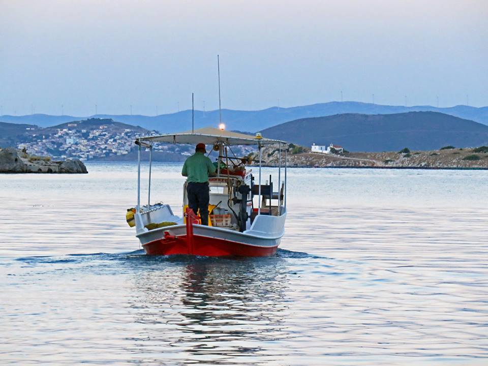 Δραστηριότητες